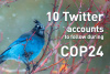 10 accounts Twitter COP24