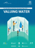 UN World Water Development Report 2021 Cover